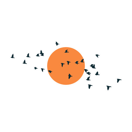 birds flying in front of the sunのイラスト素材