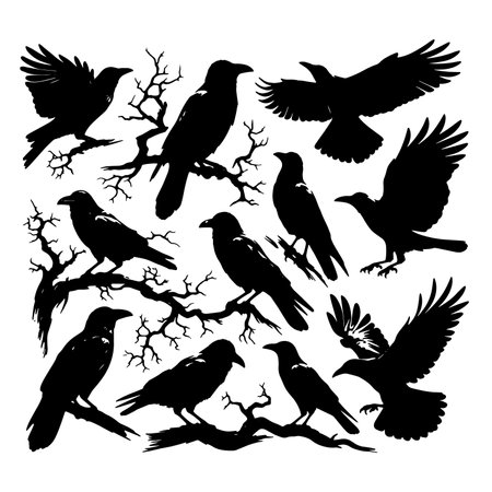 Set of ravens silhouettes on a white background. Vector illustrationのイラスト素材