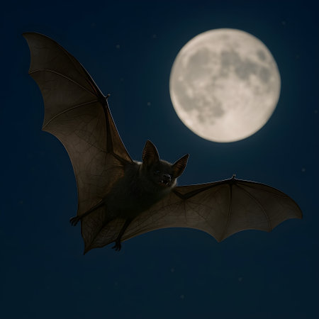 Bat flying in the moonlight. Halloween concept. 3D renderingの素材