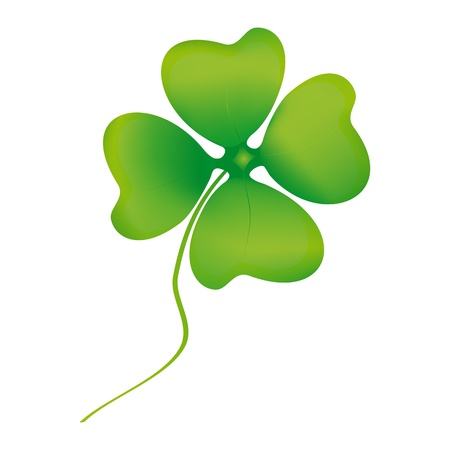 Leaf clover isolated on whiteのイラスト素材