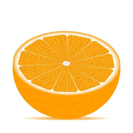 Half of orange isolated on whiteのイラスト素材