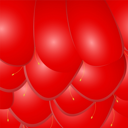 Texture raspberriesのイラスト素材