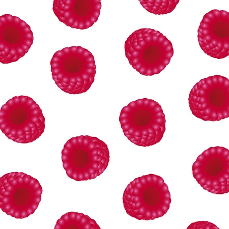 background of raspberryのイラスト素材