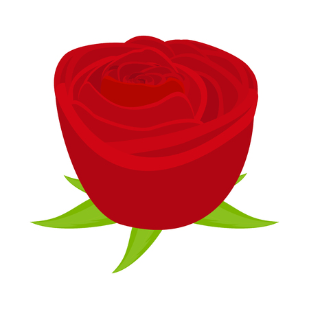 red rose closeup on a white backgroundのイラスト素材