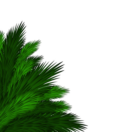 Christmas background with spruce branchesのイラスト素材