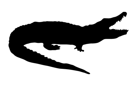 silhouette of a crocodile on a white backgroundのイラスト素材