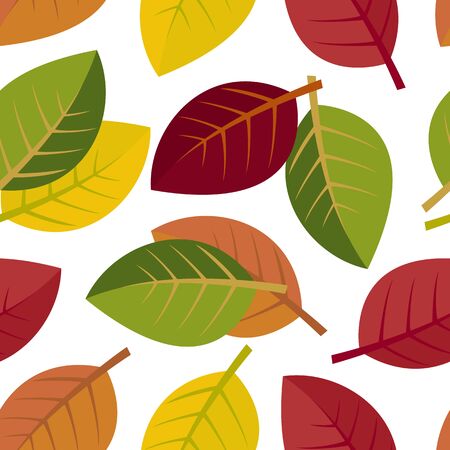 Seamless autumn leaves on a white background. vector illustrationのイラスト素材
