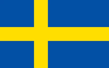 Flag of Sweden, vector illustrationのイラスト素材