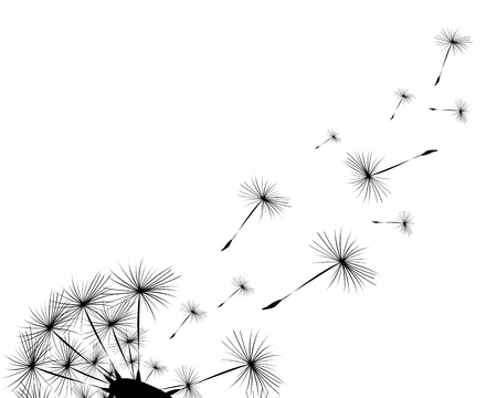 Silhouette of a dandelionのイラスト素材