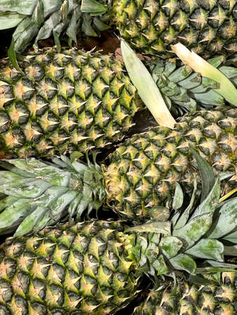 Fresh ripe ananas fruit backgroundの写真素材