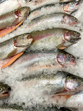 Fresh rainbow trout on the counter in the storeの写真素材