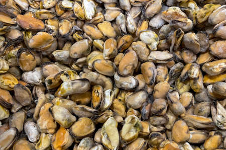 Background of freshly frozen seafood mussels