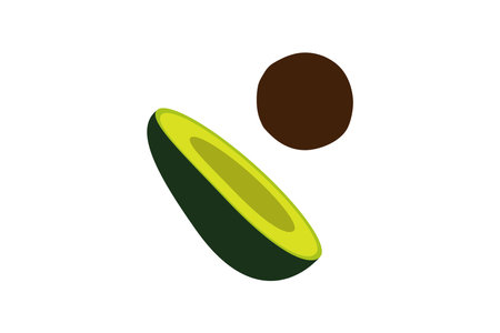Half an avocado with a pit. Vector illustration.のイラスト素材