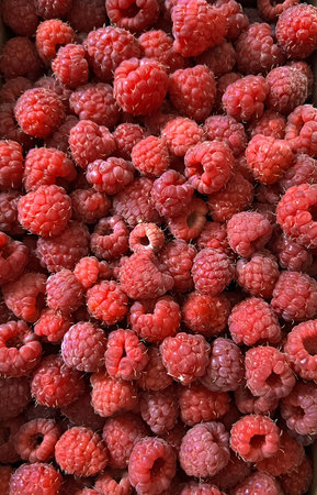 Background of ripe pink raspberries