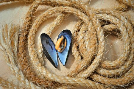 Fresh sea musselsの写真素材