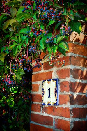 The number on brick wall with wild grapesの写真素材
