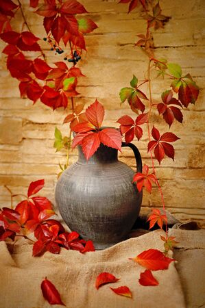 autumn still lifeの写真素材