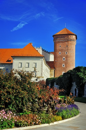 Wawel entranceの写真素材