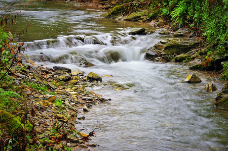 mountain river with moss stones and greeneryの写真素材