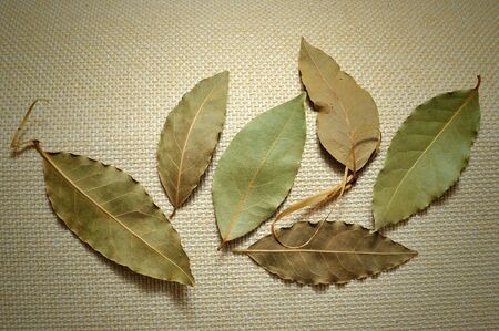scented, dried bay leaves on burlap backgroundの写真素材