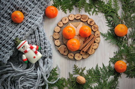 New year composition of Tangerines, scarf and spruce branchesの写真素材