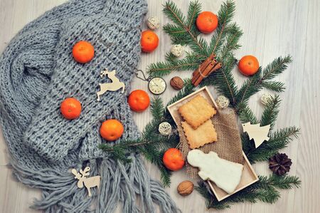 still life of orange tangerine, cookies and coniferous branchesの写真素材