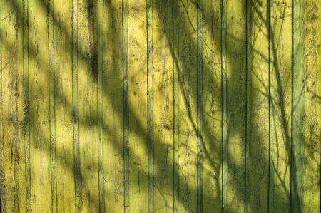 Wooden wall background with shadows from a branches in springの写真素材