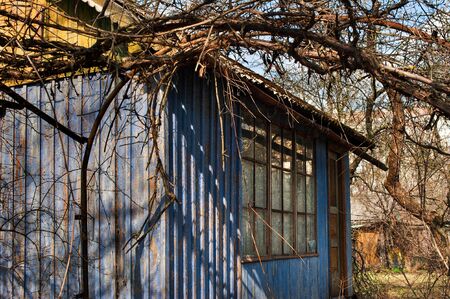 tiny abandoned wooden house or shed in spring gardenの写真素材