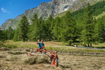 Tractor collecting fresh hay on meadow in Alpsのeditorial素材