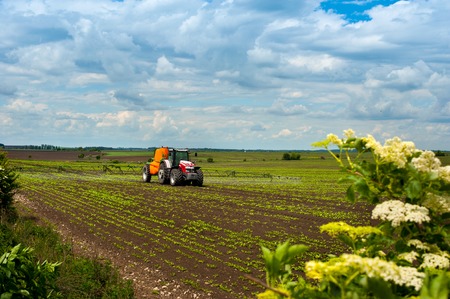 tractor sprayer on field with beetroot young sproutsの写真素材