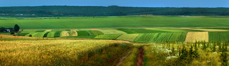 panoramic appearance of colored fields with dirt roadの写真素材