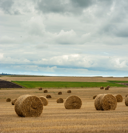straw bales of hay in the stubble agricultural field under sky with clouds
