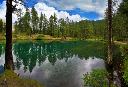 alpine lake in a pine forest in Rhemes Notre Dame, Valle dAosta, Italy,の写真素材