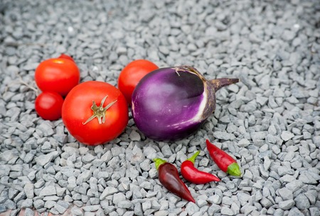 Eggplant, tomato and Bell pepper on a stone background