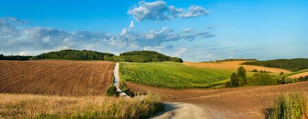 hills are agricultural land, plowed land and a wheat field with a dirt roadの写真素材