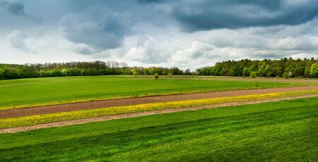 Small field lines and meadows with early spring dandelions horizon through dark clouds. springtideの写真素材