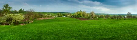 Spring in the countryside. Green fresh grass, blossoming tree in the spring, against the background of clouds and sky.の写真素材