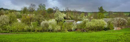 panorama of orchards on the outskirts of the village and cloudy sky before a thunderstorm. countryside in spring.の写真素材