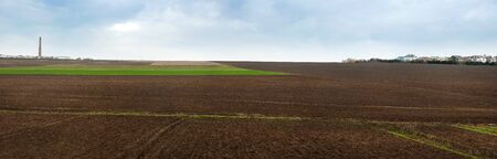 Spring landscape with a border of arable land and a green field sown with wheat.の写真素材