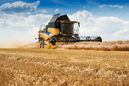 combine harvesting cereals, sky with beautiful clouds. harvesting cereals in Ukraineの写真素材