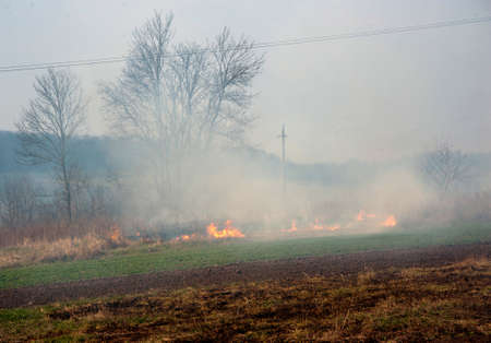 grass burning, the risk of fires to nature, the problem and environmental disasters in Ukraineのeditorial素材