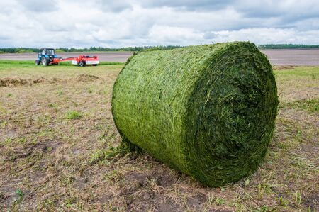 fresh compressed bales of hay lie wrapped in a net on a green meadow.の写真素材