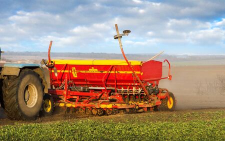 a seeder sowing in a field a cloud of dust. Agricultural tillage, land preparation for sowing