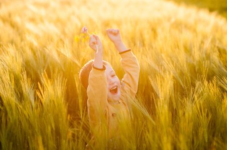 Happy boy playing in wheat ears, warm light evening sunlight, baby illustrationsの写真素材