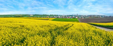 Wonderful panoramic view on the rapeseed field waves from above, and the city on the horizonの写真素材