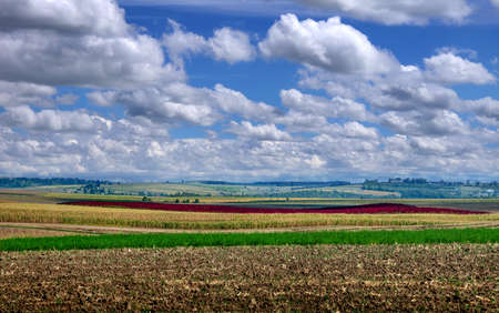 Beautiful black earth fields in Ukraine. Agricultural rural landscape, colorful hills.