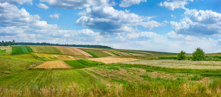 Country landscape. autumn view of fields, Farm Harvesting in fields.