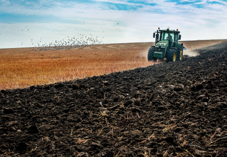 Baykivtsi, Ternopil region, Ukraine - October 18, 2019: farm tractor pulls 8-section plow, preparing the field for sowingのeditorial素材