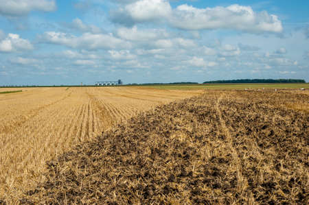 an agricultural field after harvesting, a part of the field is plowed to prepare the soil for planting a new crop of agricultural and beautiful skyのeditorial素材