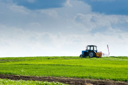 sprayer tractor in a wheat field in the spring